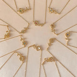 Collar de Oro con Flor de Nacimiento Maribelle