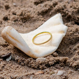 Anillo de Oro Pavimentado Zarra